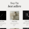 Raleigh Template Home shop section